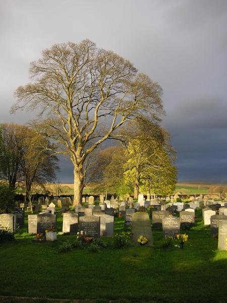 0704 077.jpg - "A Peaceful Evening" - by John Sellers St Marys graveyard , sunset light